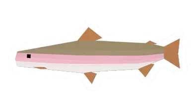 Unturned Rainbow Trout icon