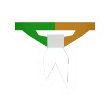 Unturned Patriotic Armband item icon