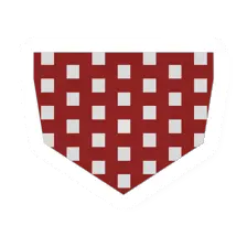 Unturned Red Bandana icon